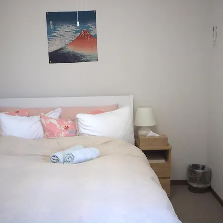 Hana Hostel Fujisan-2